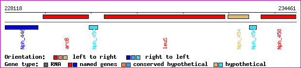 gene map