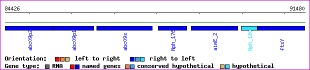 gene map