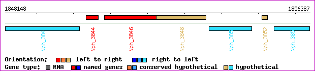 gene map