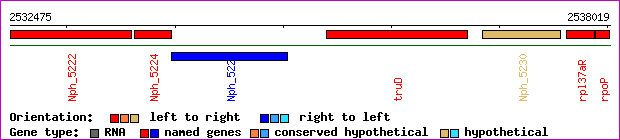 gene map