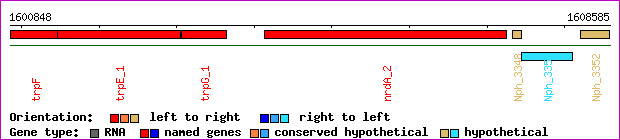 gene map
