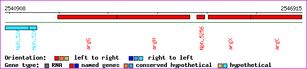 gene map