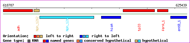 gene map