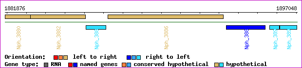 gene map