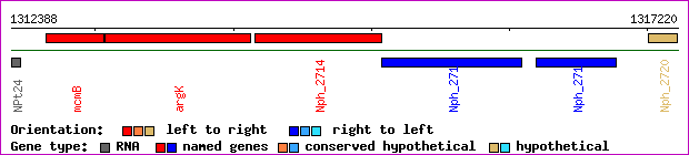 gene map