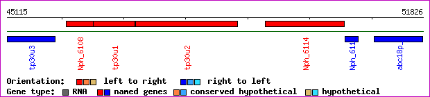 gene map