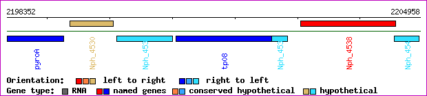 gene map