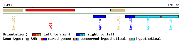 gene map