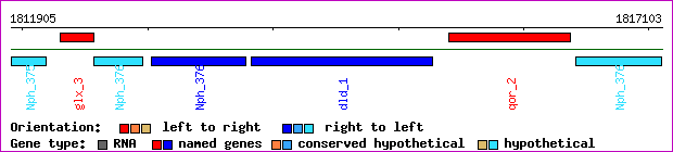 gene map