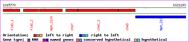 gene map