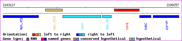 gene map