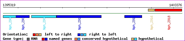 gene map