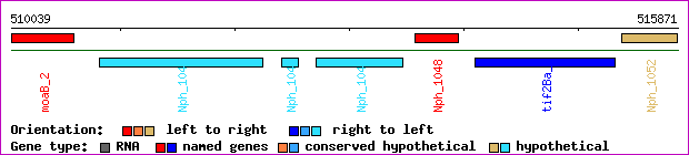 gene map