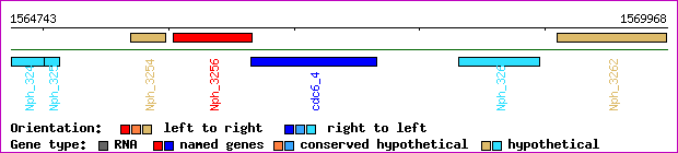 gene map