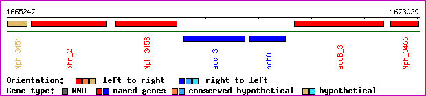 gene map