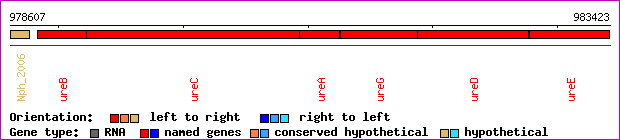 gene map