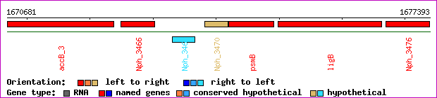 gene map