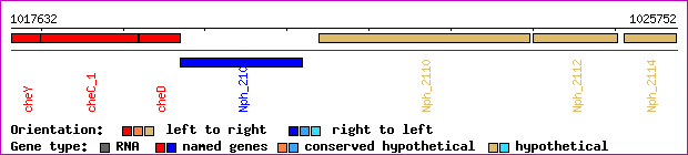 gene map