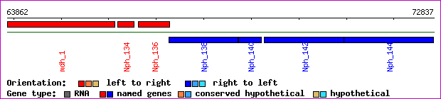 gene map