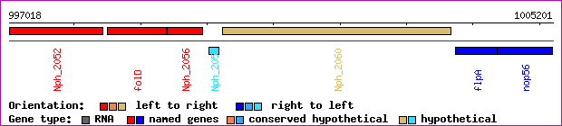 gene map