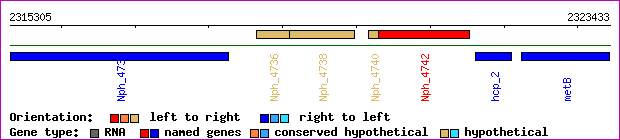 gene map