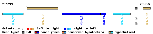 gene map