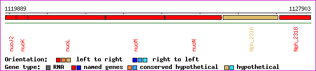 gene map