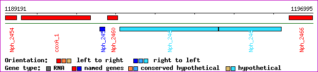 gene map