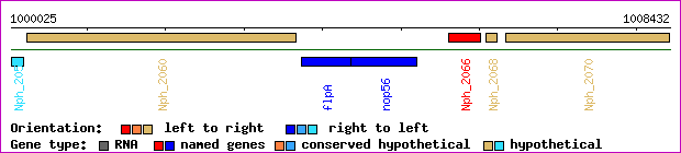 gene map