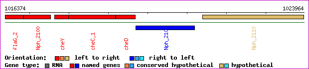 gene map