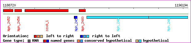 gene map