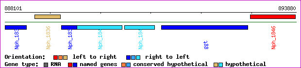 gene map