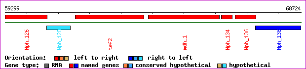 gene map
