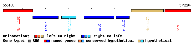 gene map