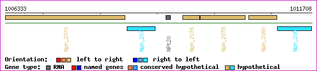 gene map