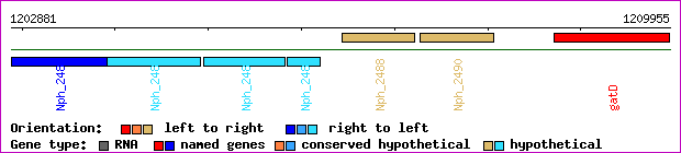gene map