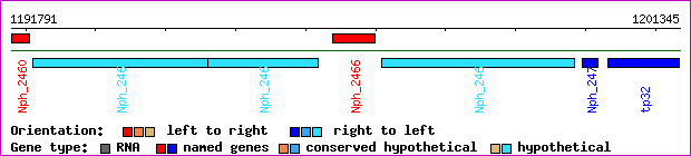 gene map