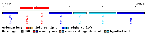 gene map