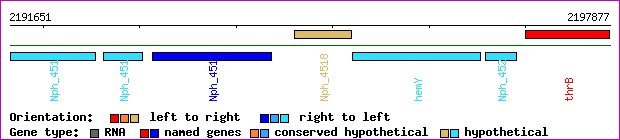 gene map