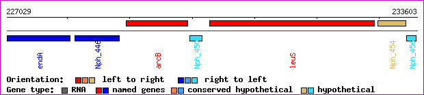 gene map