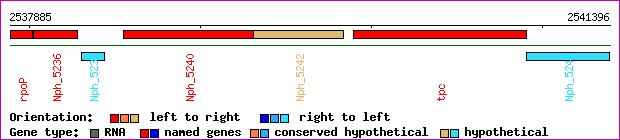 gene map