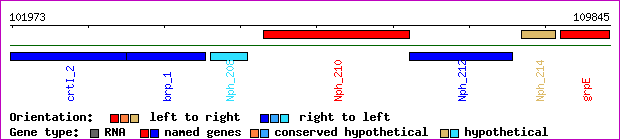 gene map