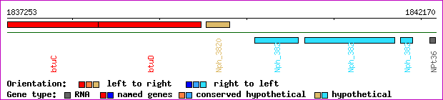gene map