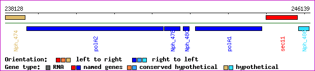 gene map
