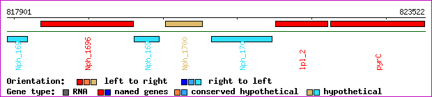 gene map