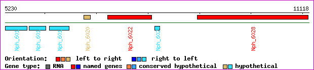gene map