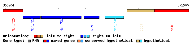 gene map