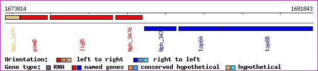 gene map