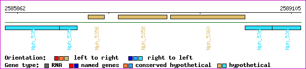 gene map