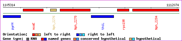 gene map
